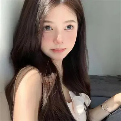 树袋熊